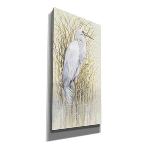 'Wading I' by Tim O'Toole, Canvas Wall Art