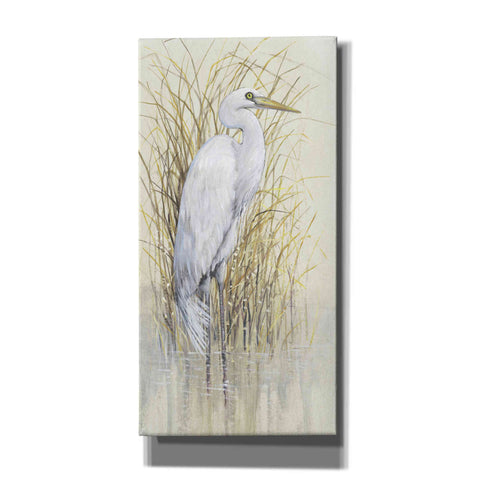 Image of 'Wading I' by Tim O'Toole, Canvas Wall Art