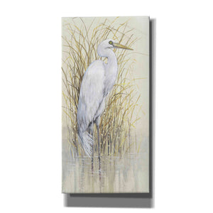 'Wading I' by Tim O'Toole, Canvas Wall Art