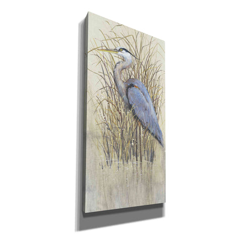 Image of 'Wading II' by Tim O'Toole, Canvas Wall Art