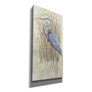 'Wading II' by Tim O'Toole, Canvas Wall Art