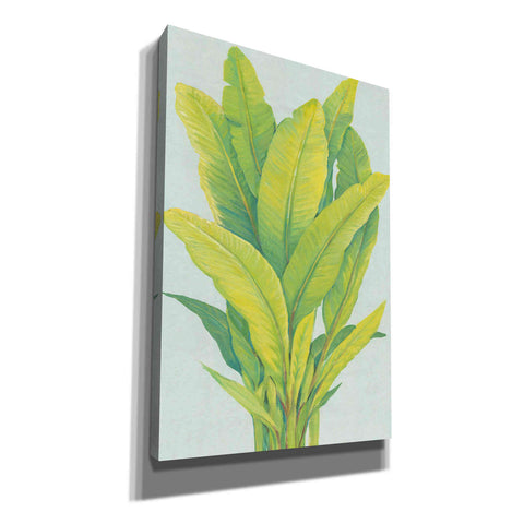Image of 'Chartreuse Tropical Foliage I' by Tim O'Toole, Canvas Wall Art