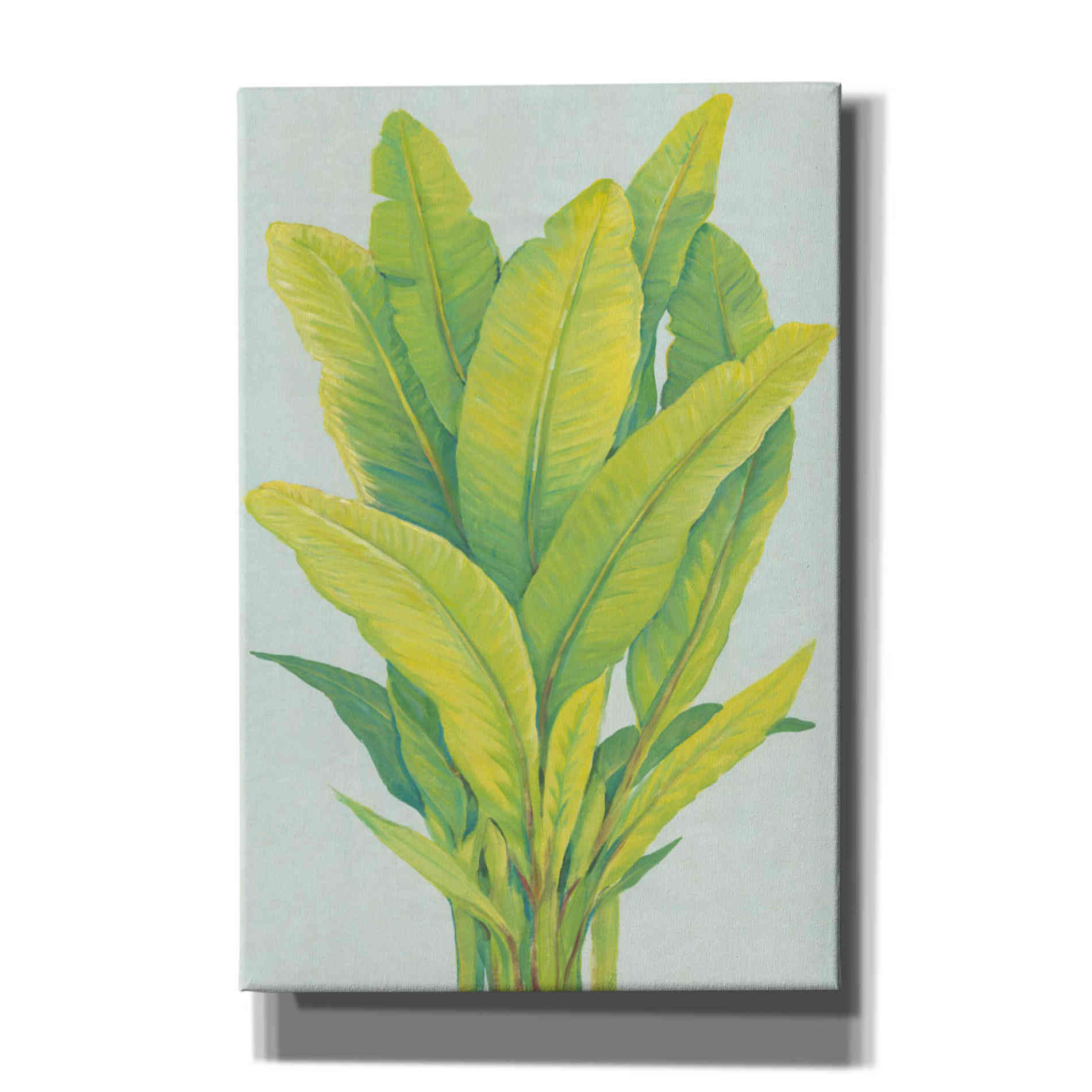 'Chartreuse Tropical Foliage I' by Tim O'Toole, Canvas Wall Art