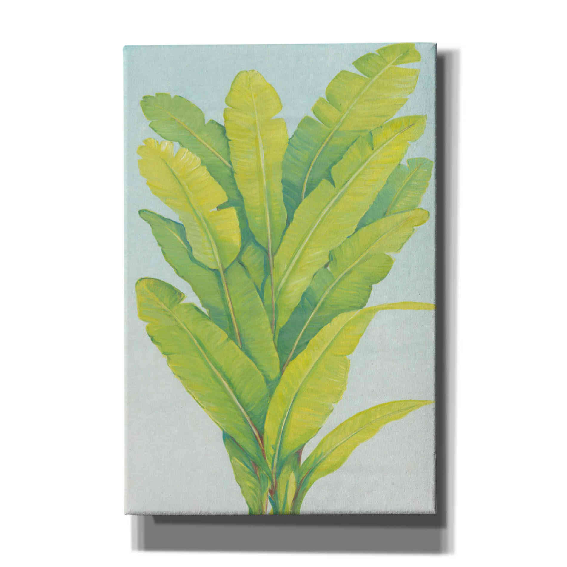 'Chartreuse Tropical Foliage II' by Tim O'Toole, Canvas Wall Art