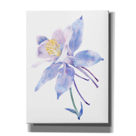'Columbine Bloom II' by Tim O'Toole, Canvas Wall Art