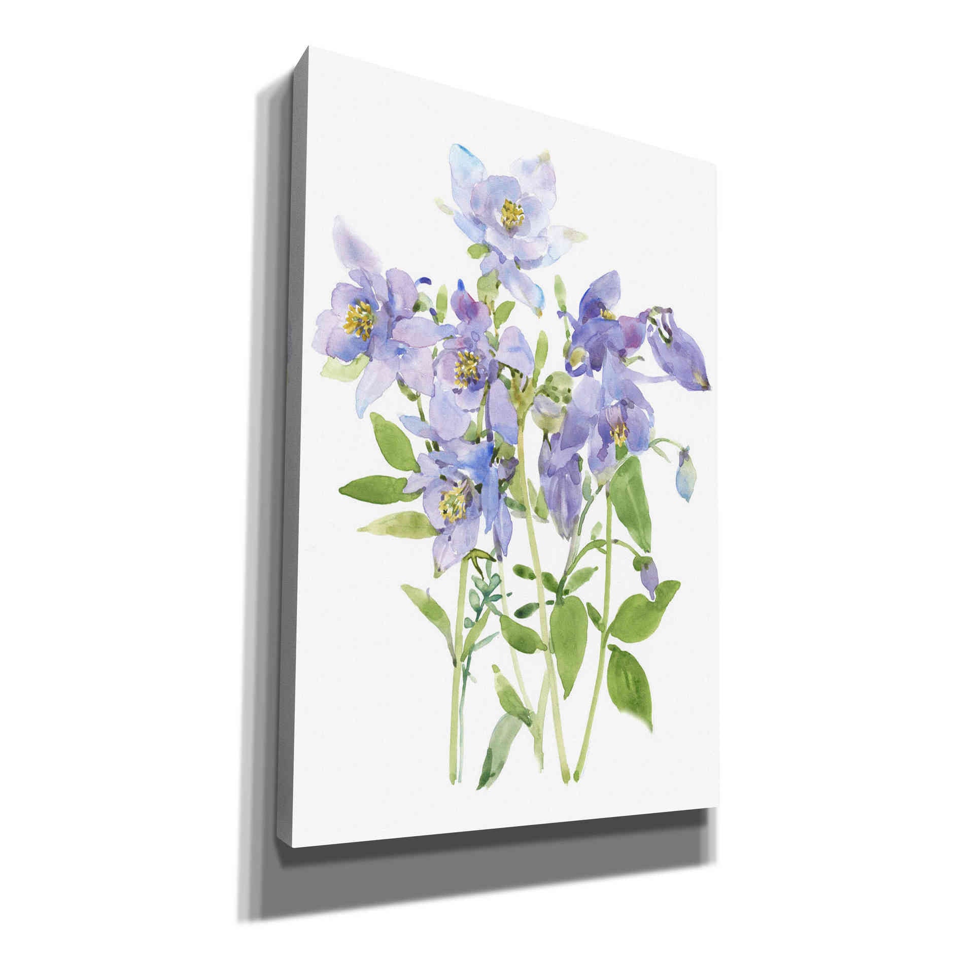 'Columbine Spray I' by Tim O'Toole, Canvas Wall Art
