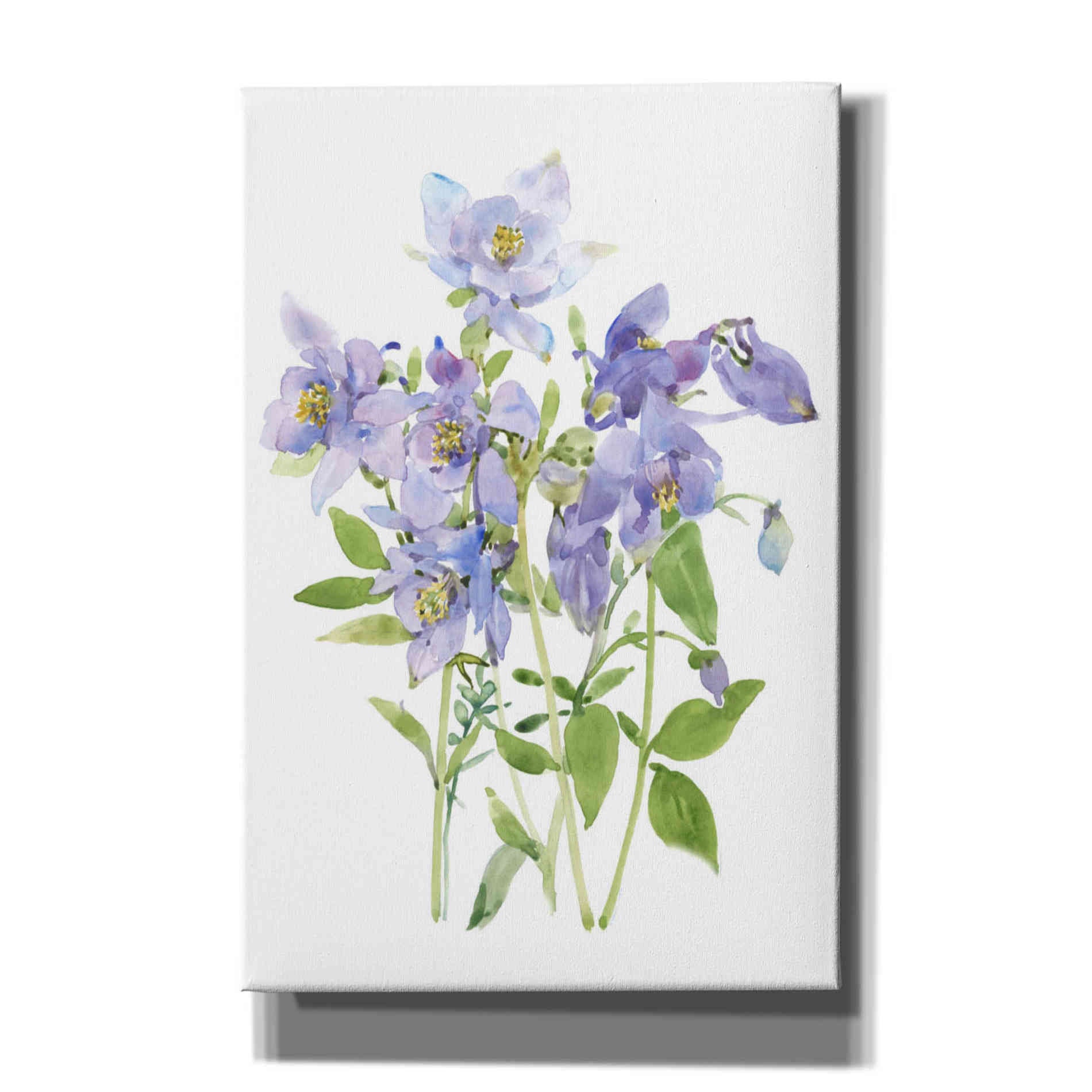 'Columbine Spray I' by Tim O'Toole, Canvas Wall Art