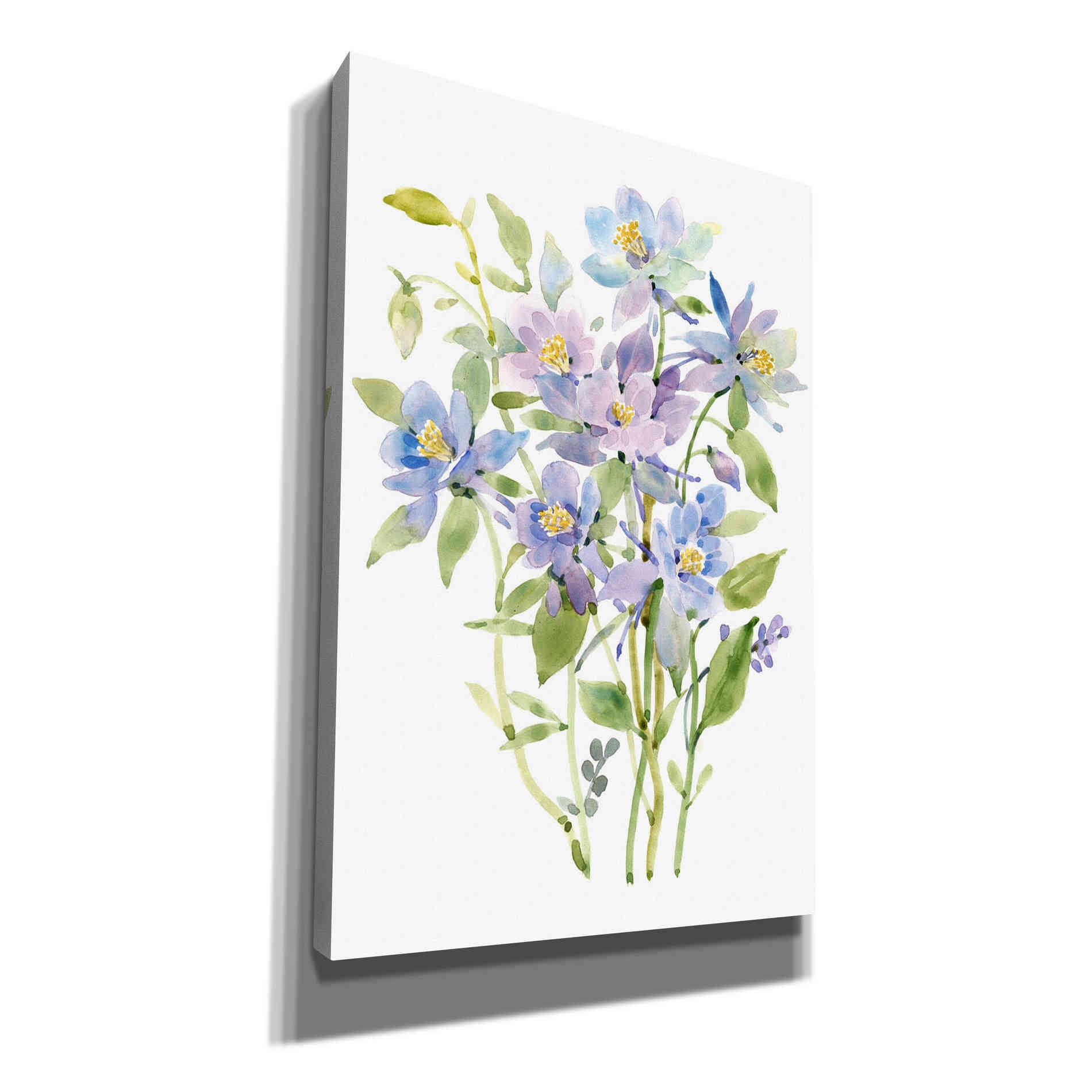 'Columbine Spray II' by Tim O'Toole, Canvas Wall Art