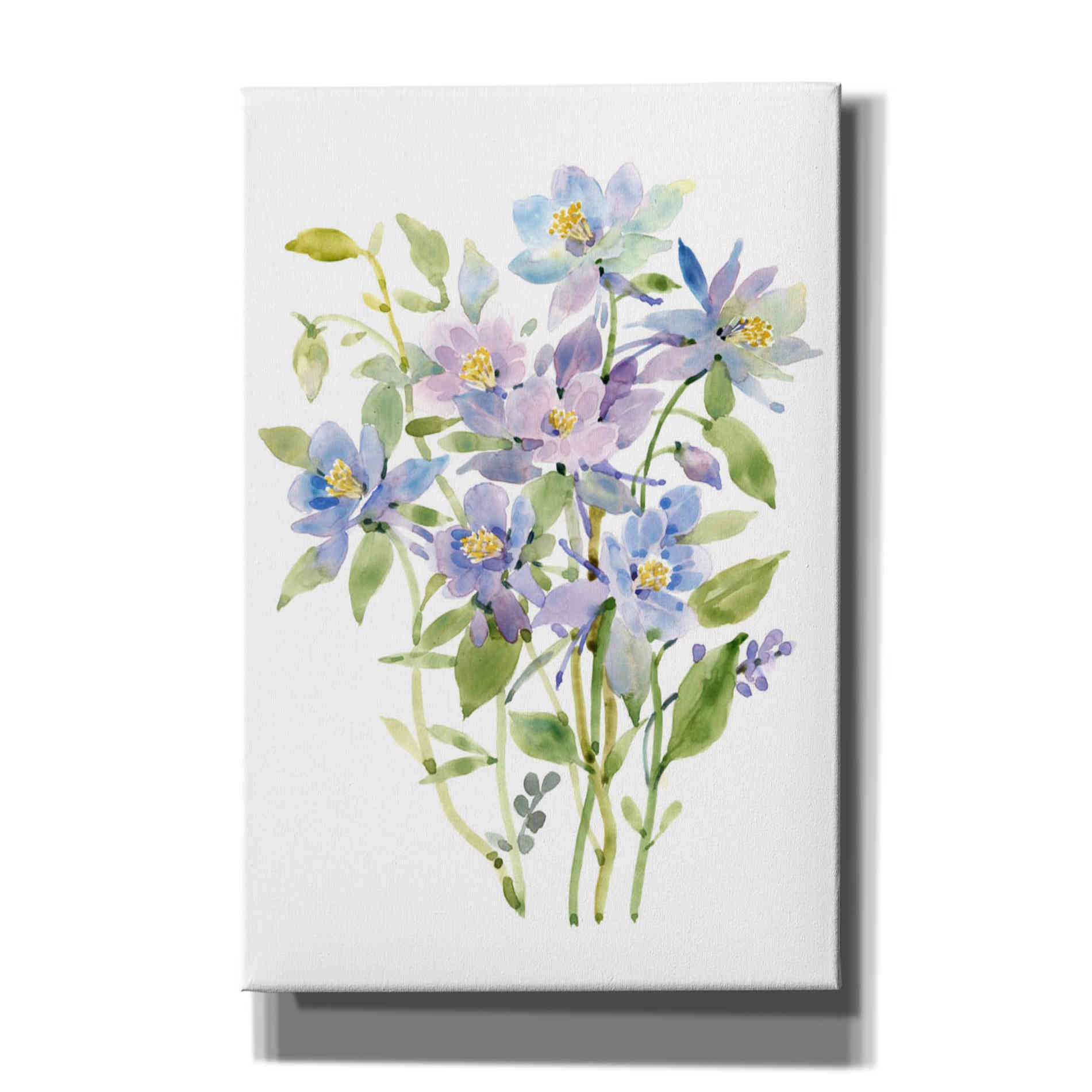 'Columbine Spray II' by Tim O'Toole, Canvas Wall Art