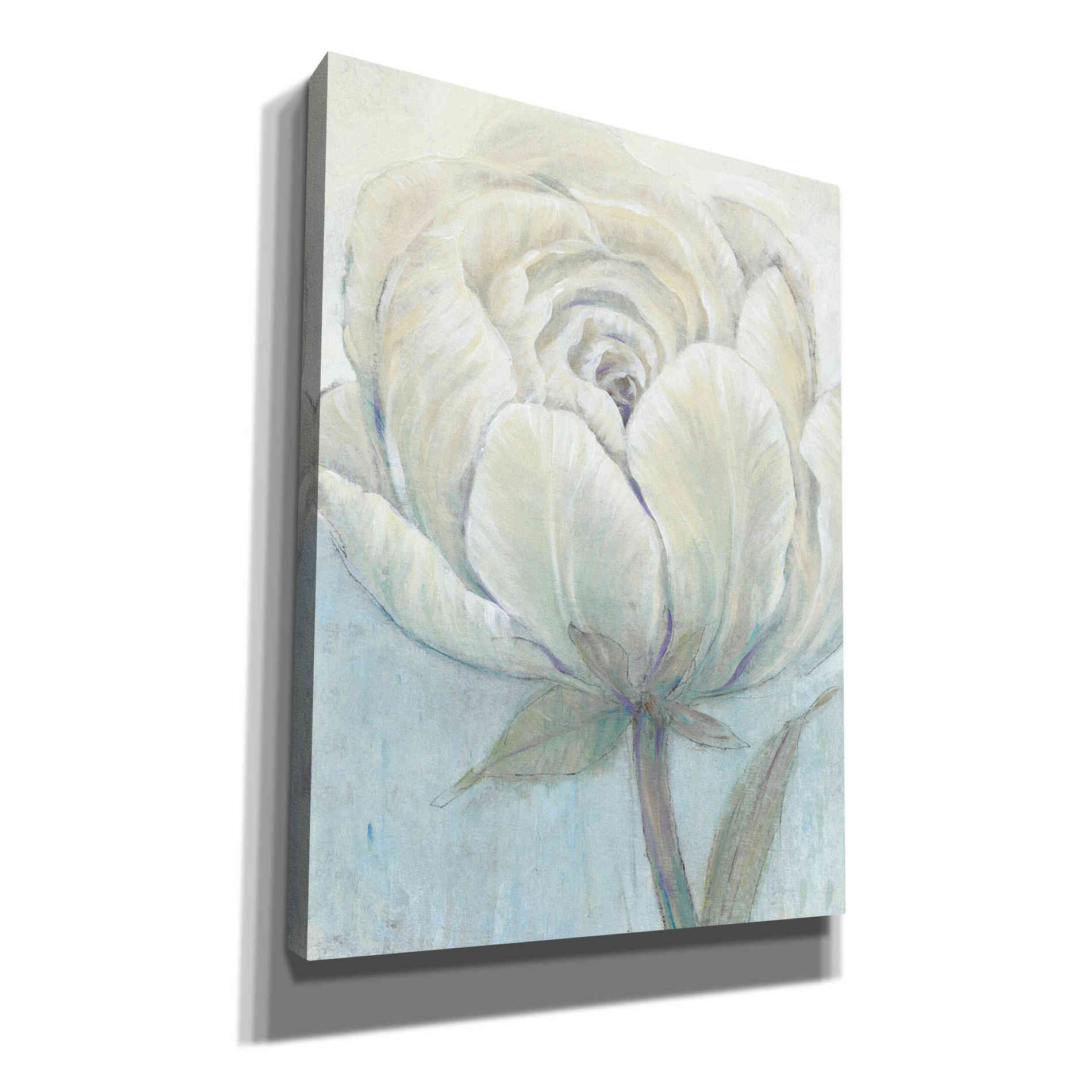 'English Rose I' by Tim O'Toole, Canvas Wall Art