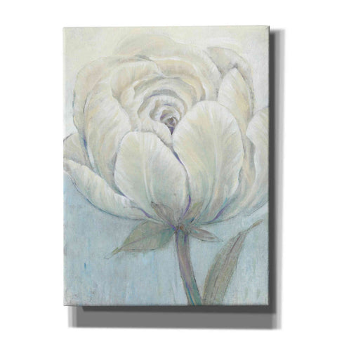 Image of 'English Rose I' by Tim O'Toole, Canvas Wall Art
