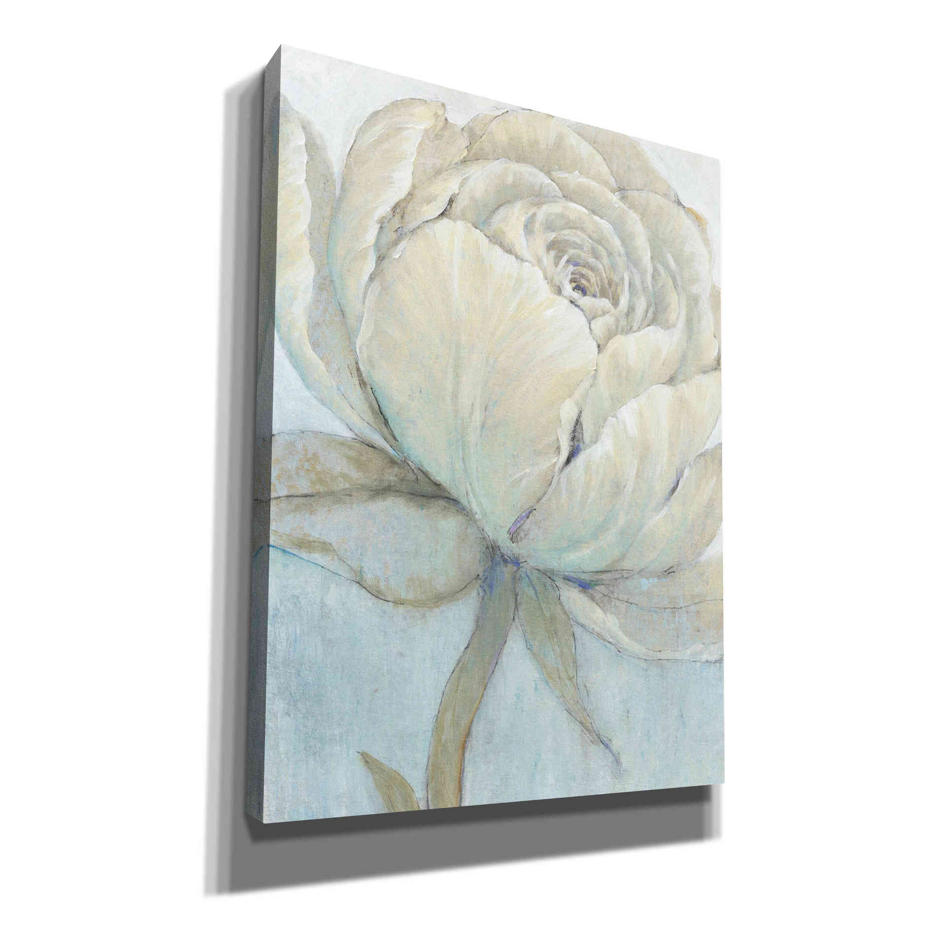 'English Rose II' by Tim O'Toole, Canvas Wall Art