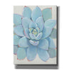 'Pastel Succulent I' by Tim O'Toole, Canvas Wall Art