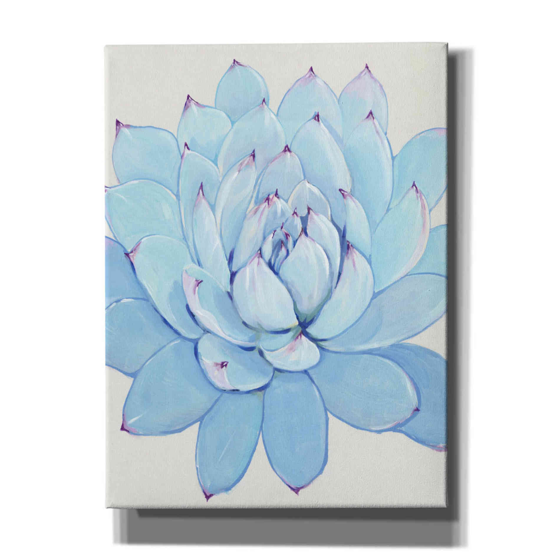 'Pastel Succulent II' by Tim O'Toole, Canvas Wall Art