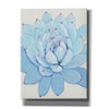 'Pastel Succulent II' by Tim O'Toole, Canvas Wall Art