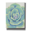 'Pastel Succulent IV' by Tim O'Toole, Canvas Wall Art