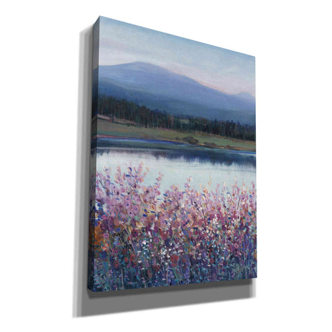 Image of 'Lakeside Mountain I' by Tim O'Toole, Canvas Wall Art