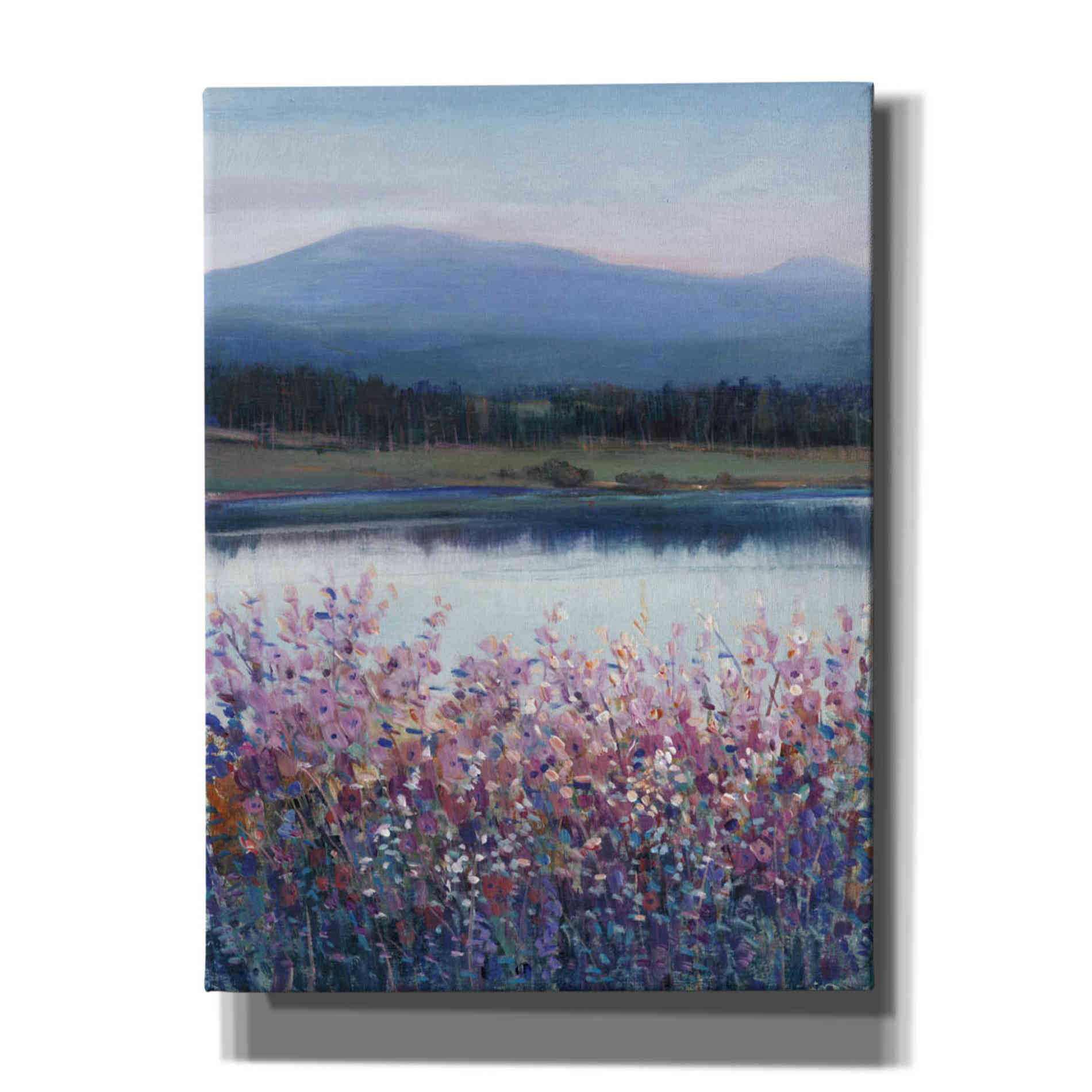 'Lakeside Mountain I' by Tim O'Toole, Canvas Wall Art