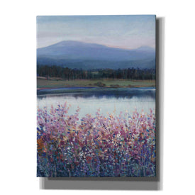 'Lakeside Mountain I' by Tim O'Toole, Canvas Wall Art