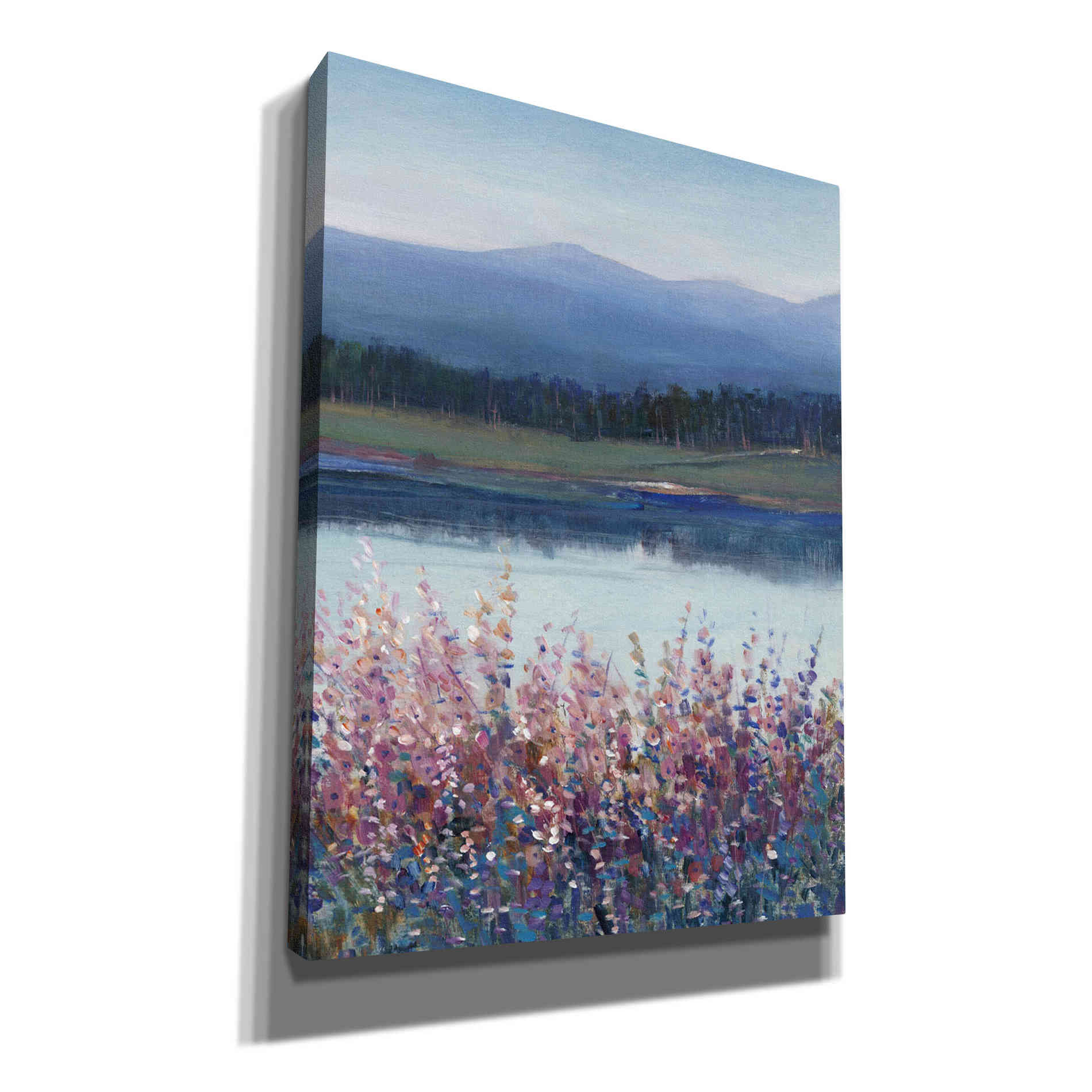 'Lakeside Mountain II' by Tim O'Toole, Canvas Wall Art