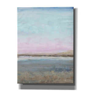 'Pink Horizon II' by Tim O'Toole, Canvas Wall Art