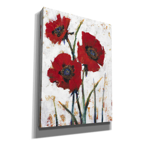 Image of 'Red Poppy Fresco I' by Tim O'Toole, Canvas Wall Art