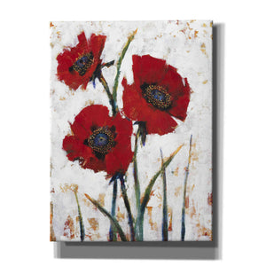 'Red Poppy Fresco I' by Tim O'Toole, Canvas Wall Art