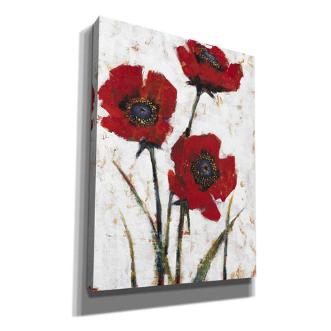 Image of 'Red Poppy Fresco II' by Tim O'Toole, Canvas Wall Art