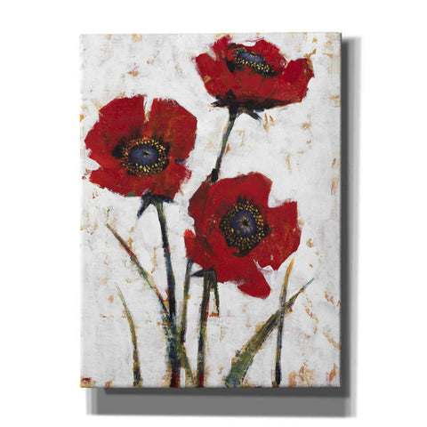 Image of 'Red Poppy Fresco II' by Tim O'Toole, Canvas Wall Art