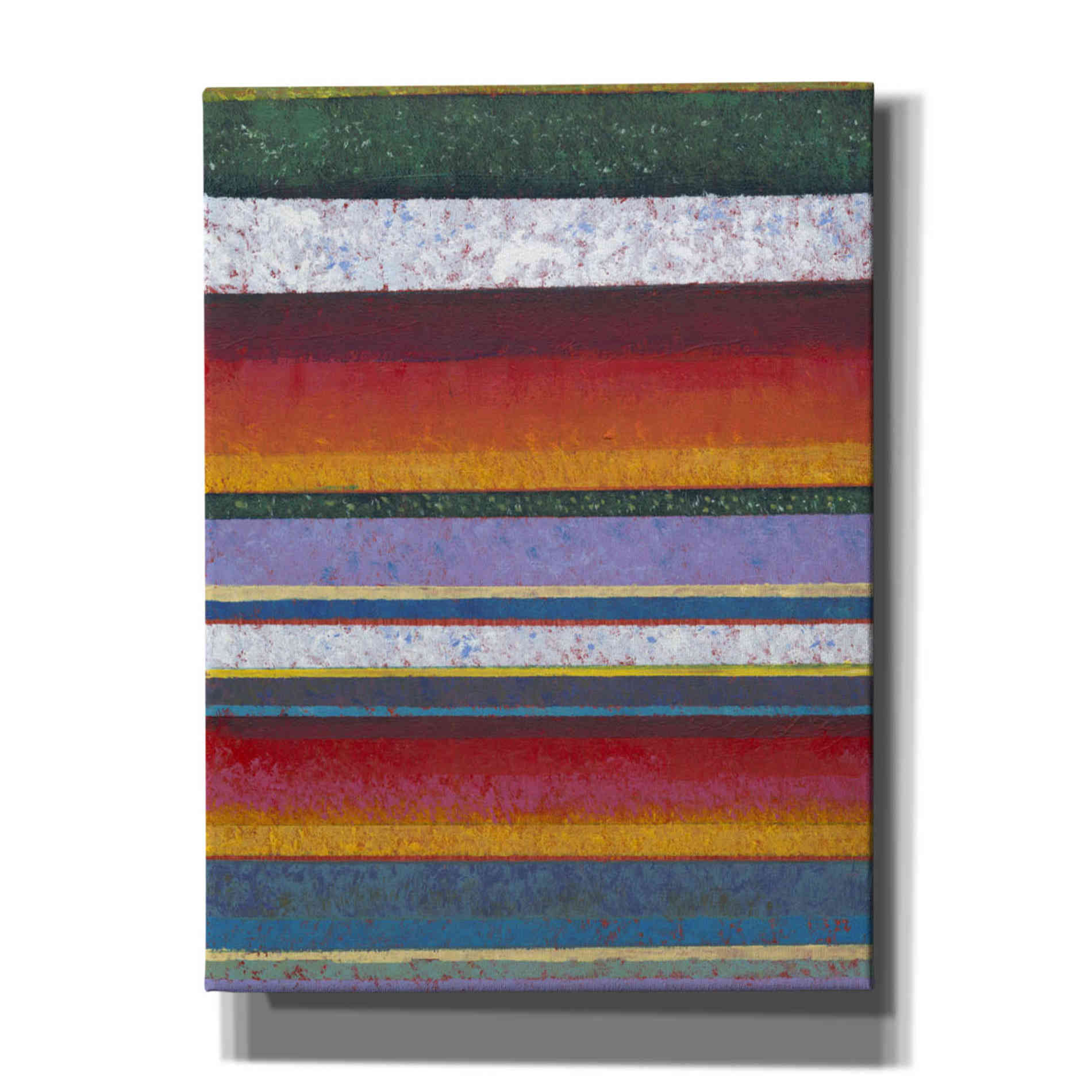 'Tulip Fields II' by Tim O'Toole, Canvas Wall Art