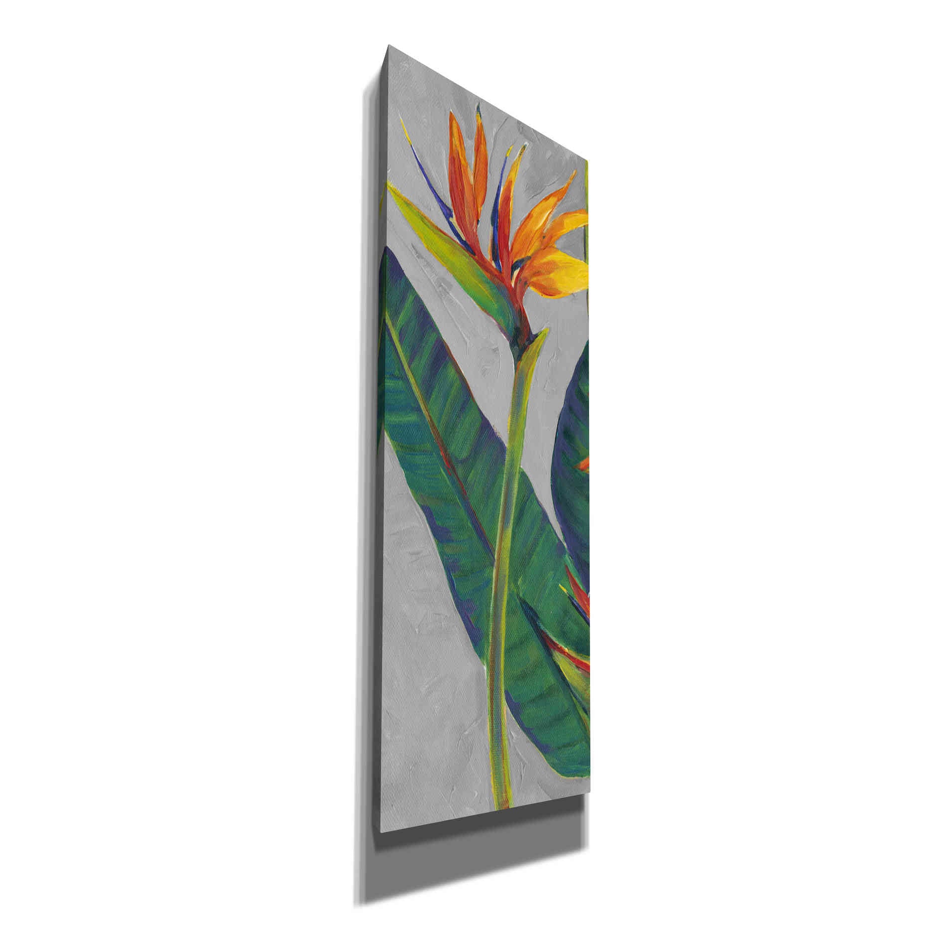 'Bird of Paradise Triptych I' by Tim O'Toole, Canvas Wall Art