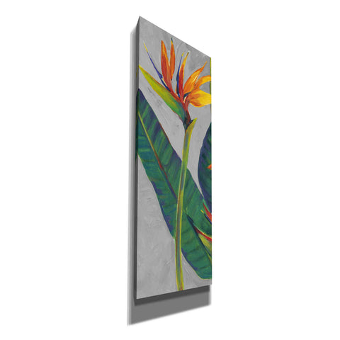 Image of 'Bird of Paradise Triptych I' by Tim O'Toole, Canvas Wall Art