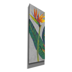 'Bird of Paradise Triptych I' by Tim O'Toole, Canvas Wall Art