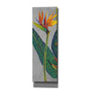 'Bird of Paradise Triptych I' by Tim O'Toole, Canvas Wall Art