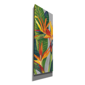 'Bird of Paradise Triptych II' by Tim O'Toole, Canvas Wall Art