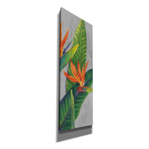 'Bird of Paradise Triptych III' by Tim O'Toole, Canvas Wall Art