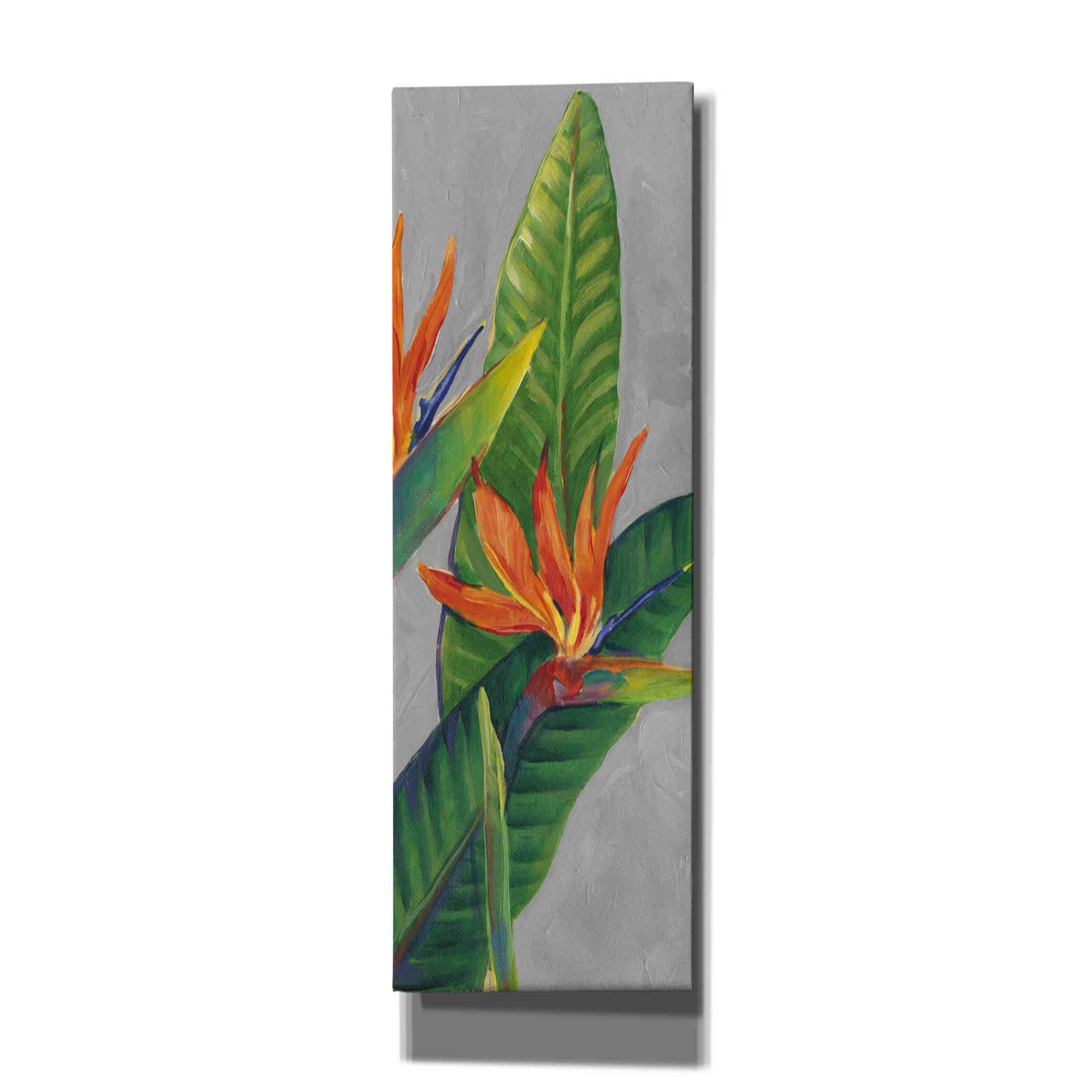 'Bird of Paradise Triptych III' by Tim O'Toole, Canvas Wall Art