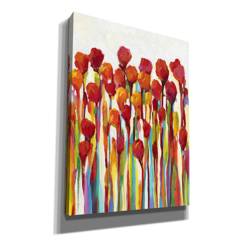 Image of 'Bursting with Color I' by Tim O'Toole, Canvas Wall Art