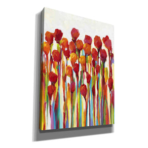 'Bursting with Color I' by Tim O'Toole, Canvas Wall Art
