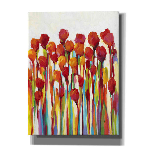 Image of 'Bursting with Color I' by Tim O'Toole, Canvas Wall Art
