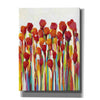 'Bursting with Color I' by Tim O'Toole, Canvas Wall Art
