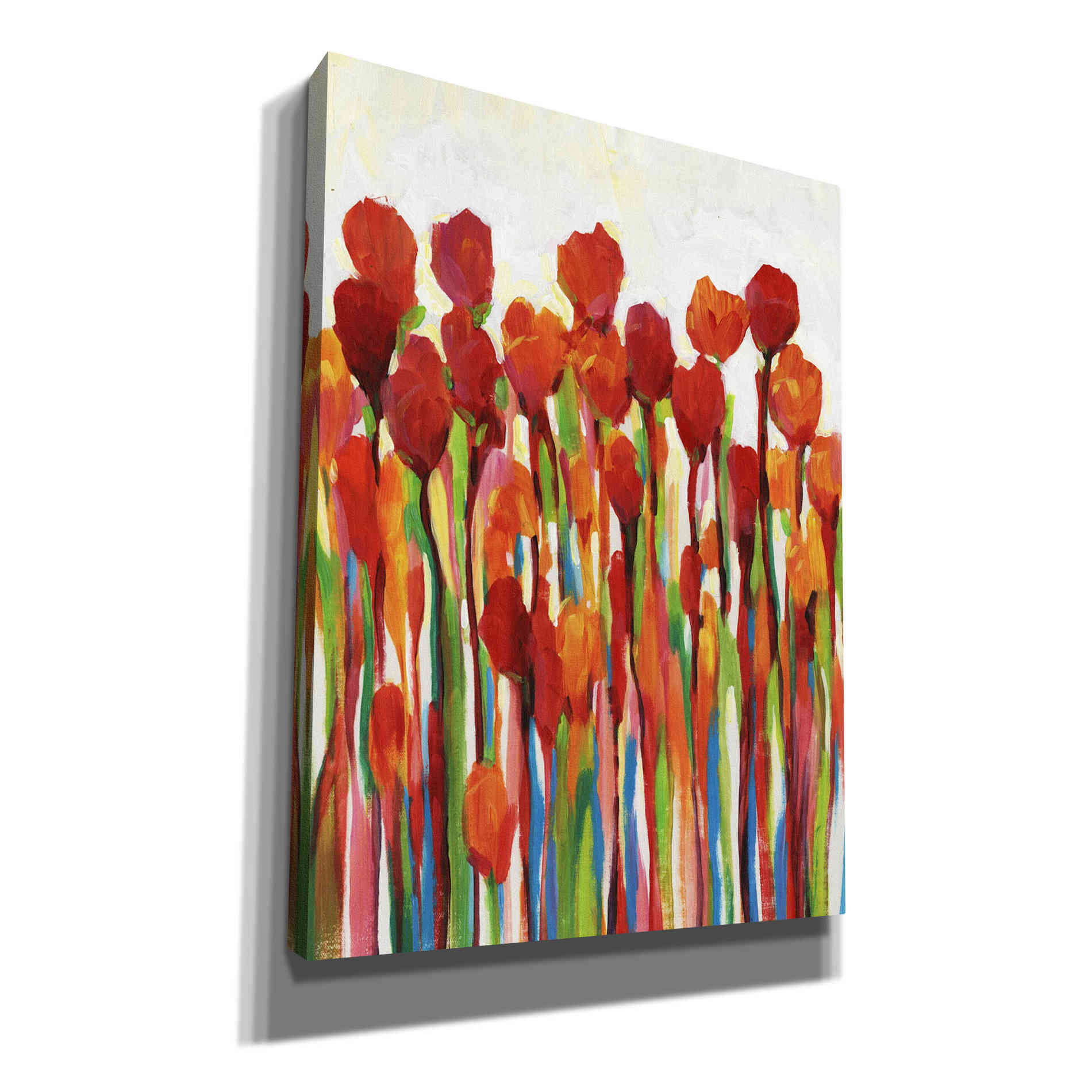'Bursting with Color II' by Tim O'Toole, Canvas Wall Art