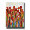 'Bursting with Color II' by Tim O'Toole, Canvas Wall Art