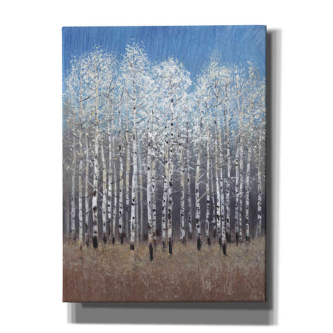 Image of 'Cobalt Birches I' by Tim O'Toole, Canvas Wall Art
