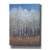 'Cobalt Birches I' by Tim O'Toole, Canvas Wall Art
