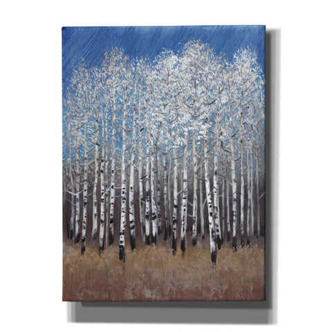 Image of 'Cobalt Birches II' by Tim O'Toole, Canvas Wall Art
