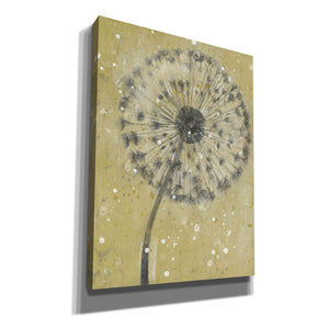 'Dandelion Abstract I' by Tim O'Toole, Canvas Wall Art