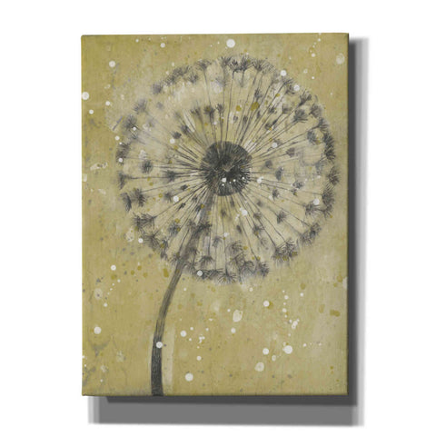 Image of 'Dandelion Abstract I' by Tim O'Toole, Canvas Wall Art