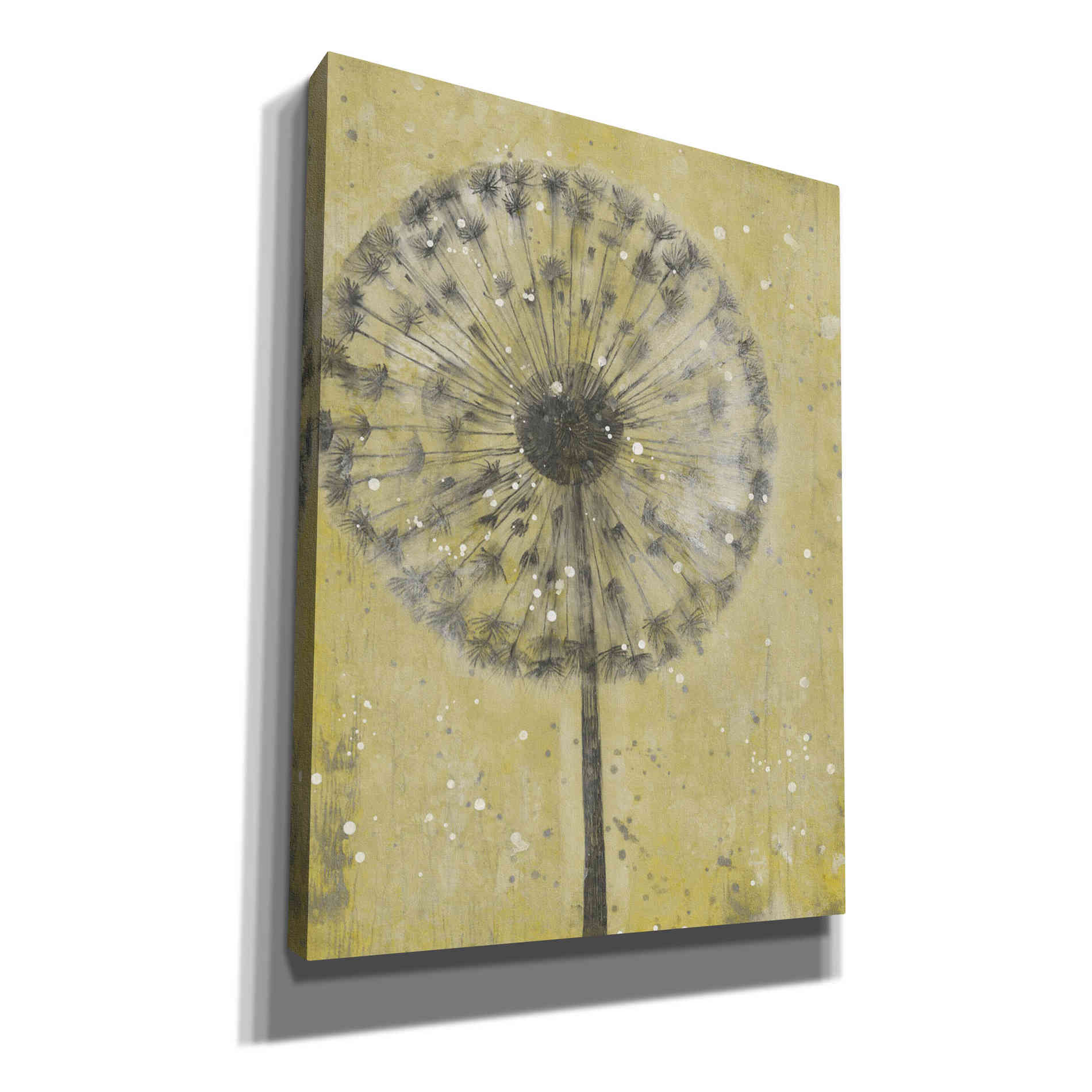 'Dandelion Abstract II' by Tim O'Toole, Canvas Wall Art