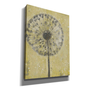 'Dandelion Abstract II' by Tim O'Toole, Canvas Wall Art